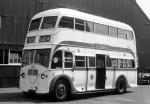 Leyland Titan PD2-5 Burlingham 1950 года